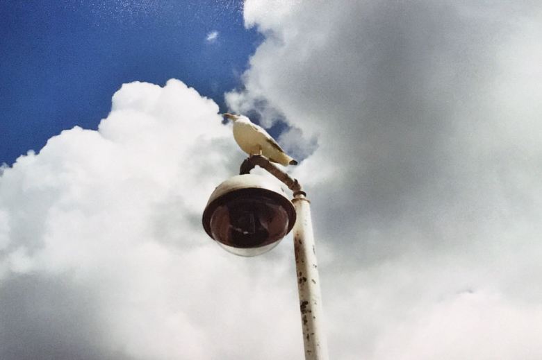 36497070-851b-436d-900b-959cf63f7878