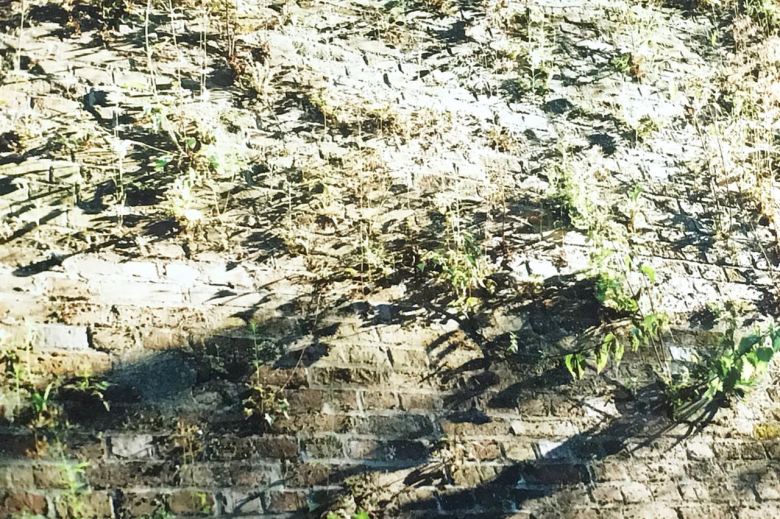 90c010e7-faf2-425e-9bb7-76172f25ff2b