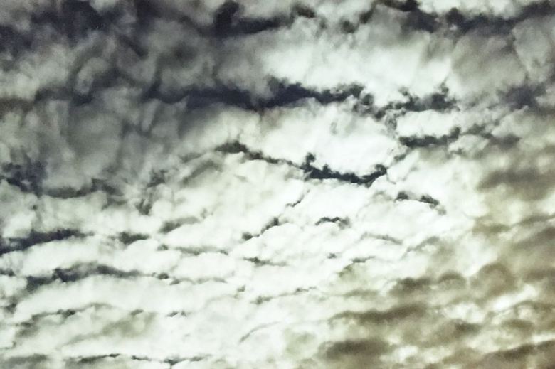 9f993307-5ed9-4e17-a009-34274249930c