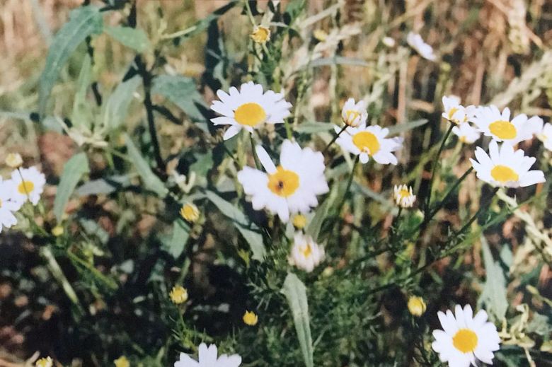 d7d19740-8616-4514-8e96-77a53eef638b