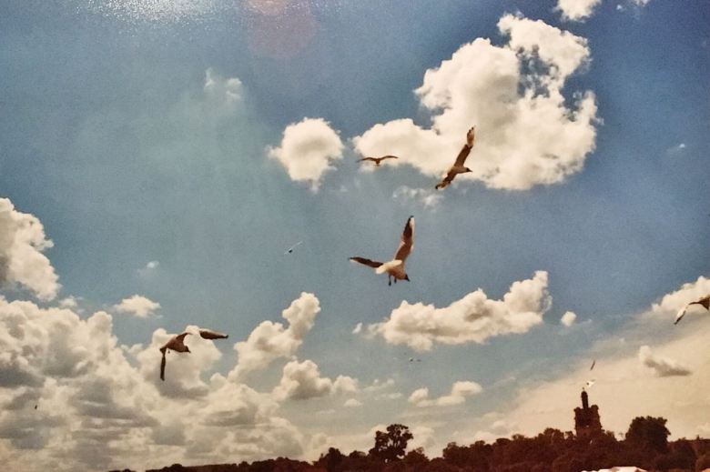 f3af583f-5c04-4b63-bbff-d6dabaf37b7c